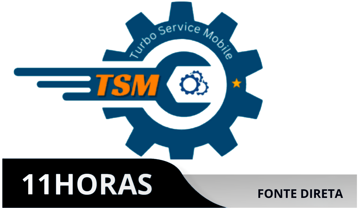 TSMTOOL Pro - Aluguel 11Hrs (Login  Senha)  Fonte Direta